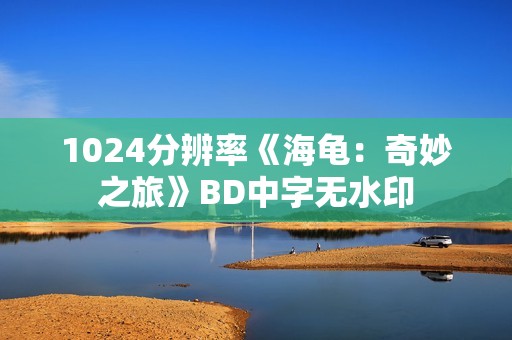 1024分辨率《海龟：奇妙之旅》BD中字无水印