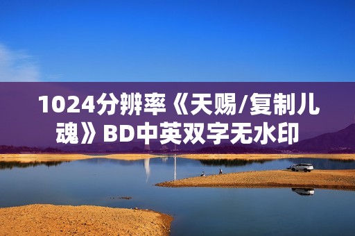 1024分辨率《天赐/复制儿魂》BD中英双字无水印