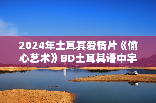 2024年土耳其爱情片《偷心艺术》BD土耳其语中字