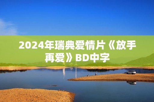 2024年瑞典爱情片《放手再爱》BD中字
