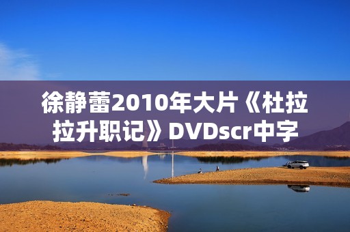 徐静蕾2010年大片《杜拉拉升职记》DVDscr中字