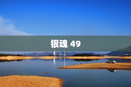 银魂 49