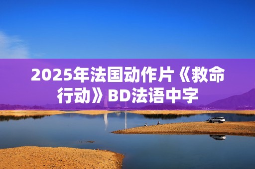 2025年法国动作片《救命行动》BD法语中字