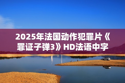 2025年法国动作犯罪片《罪证子弹3》HD法语中字