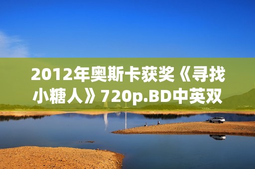 2012年奥斯卡获奖《寻找小糖人》720p.BD中英双字幕
