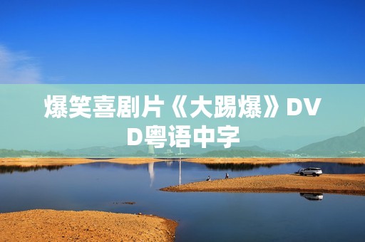 爆笑喜剧片《大踢爆》DVD粤语中字
