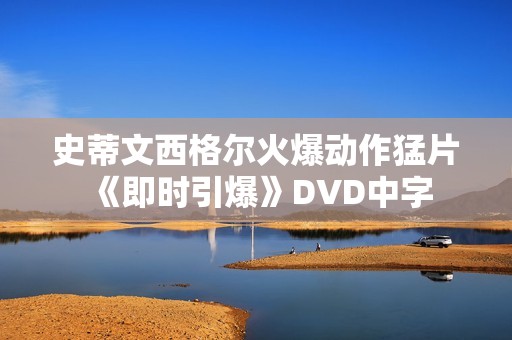 史蒂文西格尔火爆动作猛片《即时引爆》DVD中字
