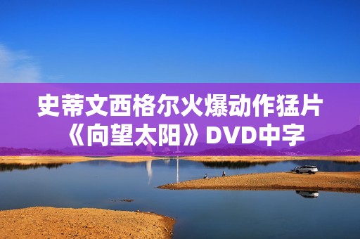 史蒂文西格尔火爆动作猛片《向望太阳》DVD中字