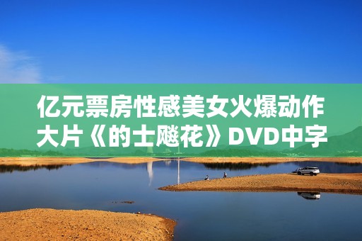 亿元票房性感美女火爆动作大片《的士飚花》DVD中字