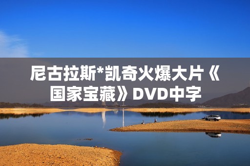 尼古拉斯*凯奇火爆大片《国家宝藏》DVD中字
