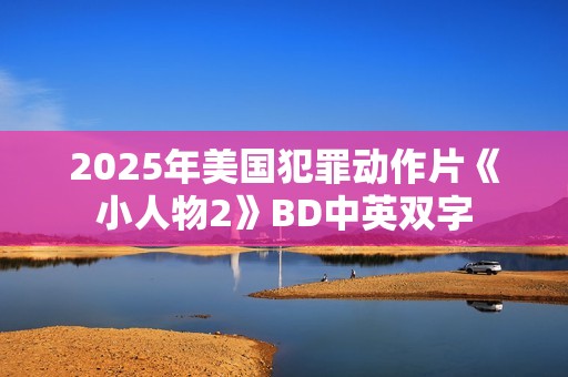 2025年美国犯罪动作片《小人物2》BD中英双字