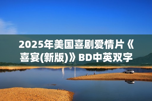 2025年美国喜剧爱情片《喜宴(新版)》BD中英双字