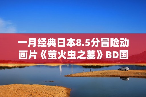 一月经典日本8.5分冒险动画片《萤火虫之墓》BD国粤日3语中字