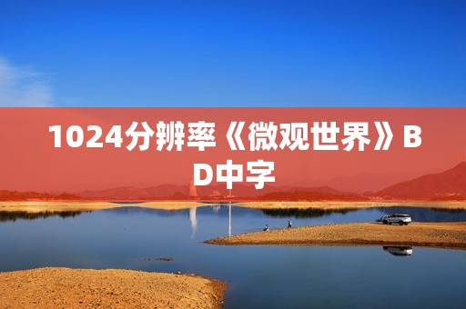 1024分辨率《微观世界》BD中字