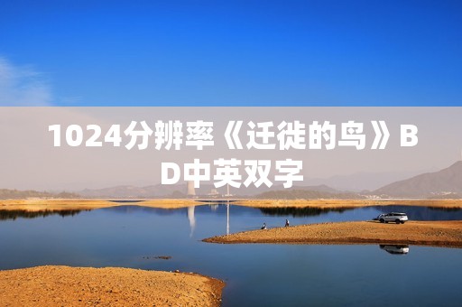 1024分辨率《迁徙的鸟》BD中英双字