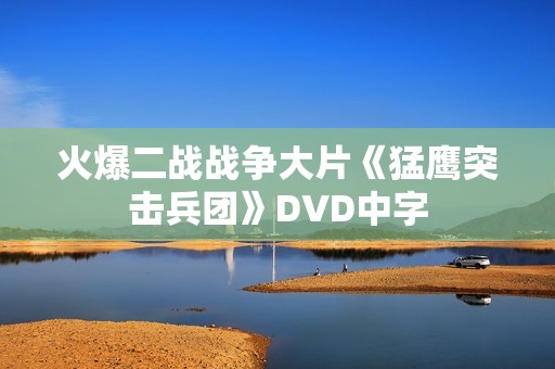 火爆二战战争大片《猛鹰突击兵团》DVD中字