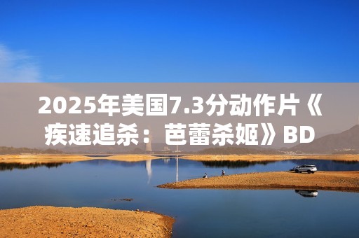 2025年美国7.3分动作片《疾速追杀：芭蕾杀姬》BD国英双语双字