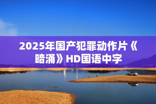 2025年国产犯罪动作片《暗涌》HD国语中字