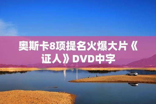奥斯卡8项提名火爆大片《证人》DVD中字