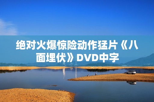 绝对火爆惊险动作猛片《八面埋伏》DVD中字