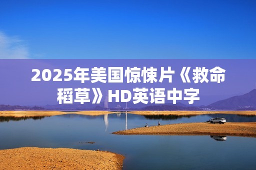 2025年美国惊悚片《救命稻草》HD英语中字