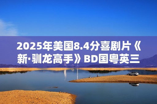 2025年美国8.4分喜剧片《新·驯龙高手》BD国粤英三语中英双字