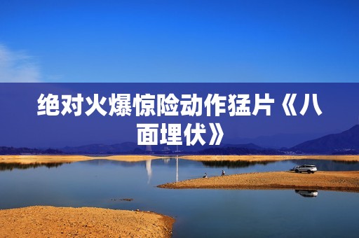 绝对火爆惊险动作猛片《八面埋伏》