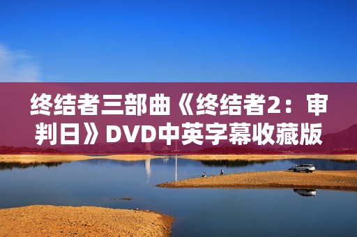 终结者三部曲《终结者2：审判日》DVD中英字幕收藏版