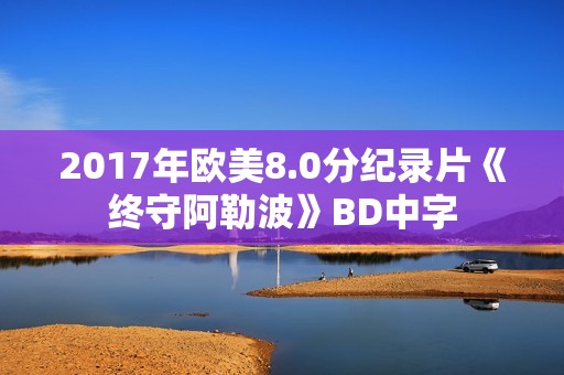 2017年欧美8.0分纪录片《终守阿勒波》BD中字