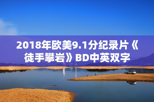 2018年欧美9.1分纪录片《徒手攀岩》BD中英双字