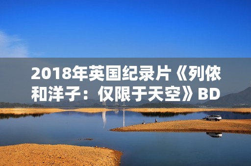 2018年英国纪录片《列侬和洋子：仅限于天空》BD中英双字