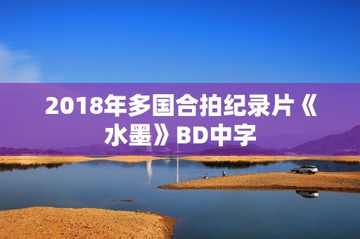 2018年多国合拍纪录片《水墨》BD中字