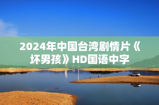2024年中国台湾剧情片《坏男孩》HD国语中字