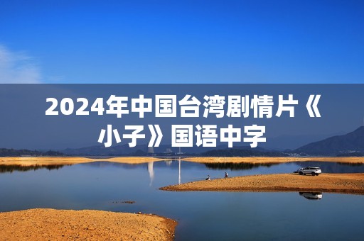 2024年中国台湾剧情片《小子》国语中字