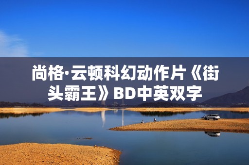 尚格·云顿科幻动作片《街头霸王》BD中英双字