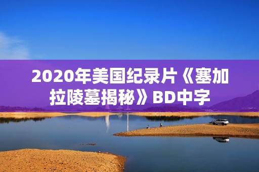 2020年美国纪录片《塞加拉陵墓揭秘》BD中字