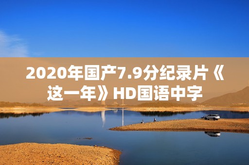 2020年国产7.9分纪录片《这一年》HD国语中字