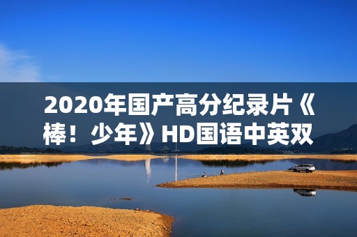 2020年国产高分纪录片《棒！少年》HD国语中英双字