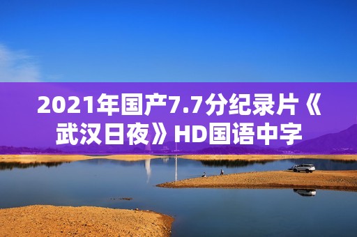 2021年国产7.7分纪录片《武汉日夜》HD国语中字