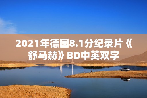 2021年德国8.1分纪录片《舒马赫》BD中英双字