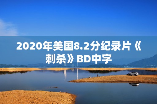 2020年美国8.2分纪录片《刺杀》BD中字