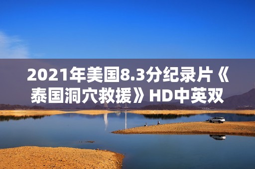 2021年美国8.3分纪录片《泰国洞穴救援》HD中英双字