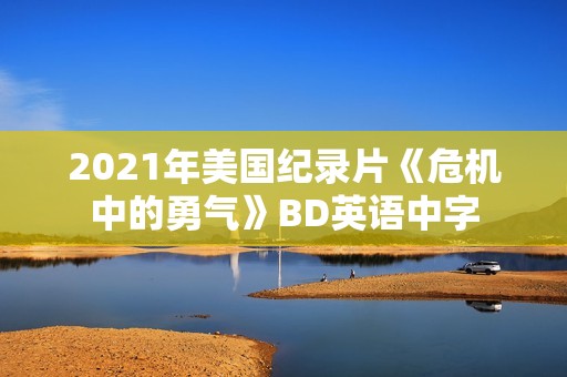 2021年美国纪录片《危机中的勇气》BD英语中字