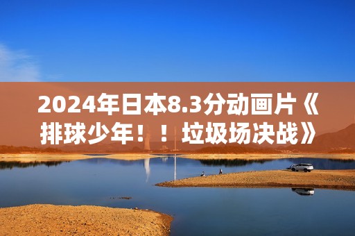 2024年日本8.3分动画片《排球少年！！垃圾场决战》BD日语中字