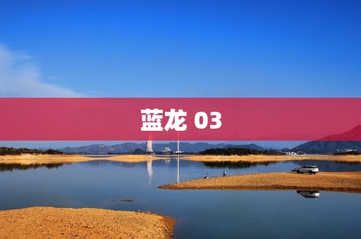 蓝龙 03