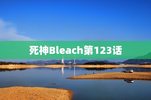死神Bleach第123话