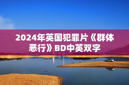2024年英国犯罪片《群体恶行》BD中英双字