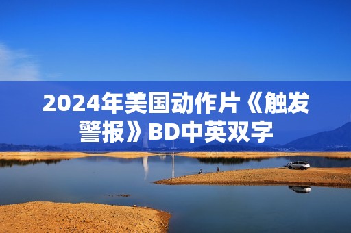 2024年美国动作片《触发警报》BD中英双字