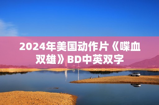 2024年美国动作片《喋血双雄》BD中英双字