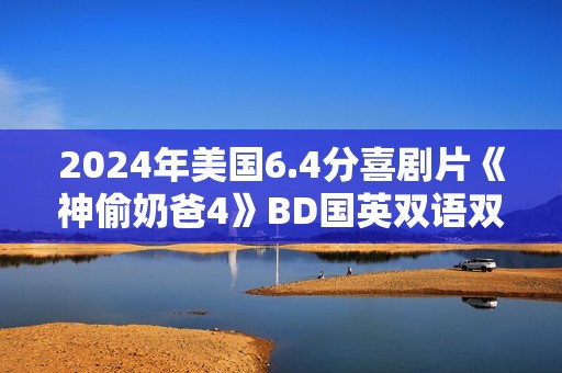 2024年美国6.4分喜剧片《神偷奶爸4》BD国英双语双字